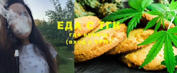 крисы Нея